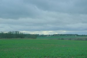 IMGP2722